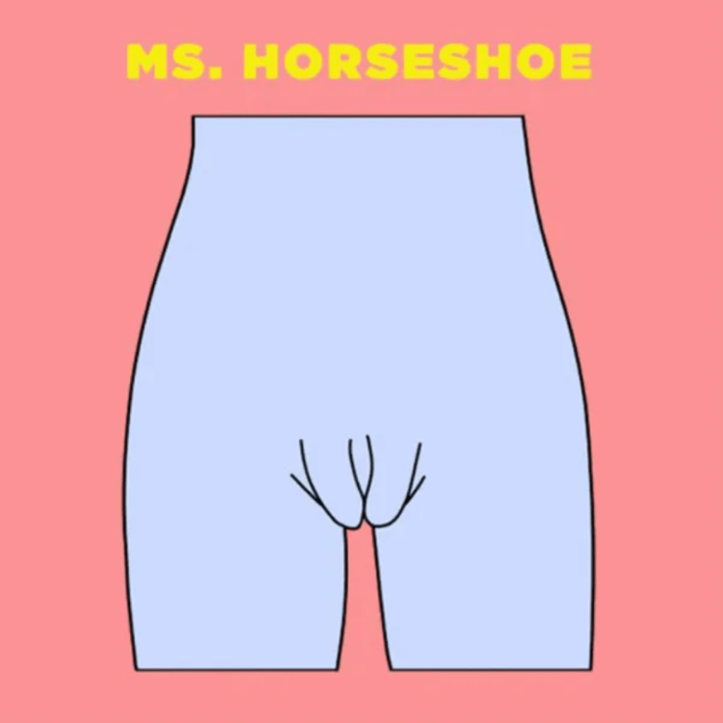 MS Horseshoe Vagina in the list of 10 types of vagina