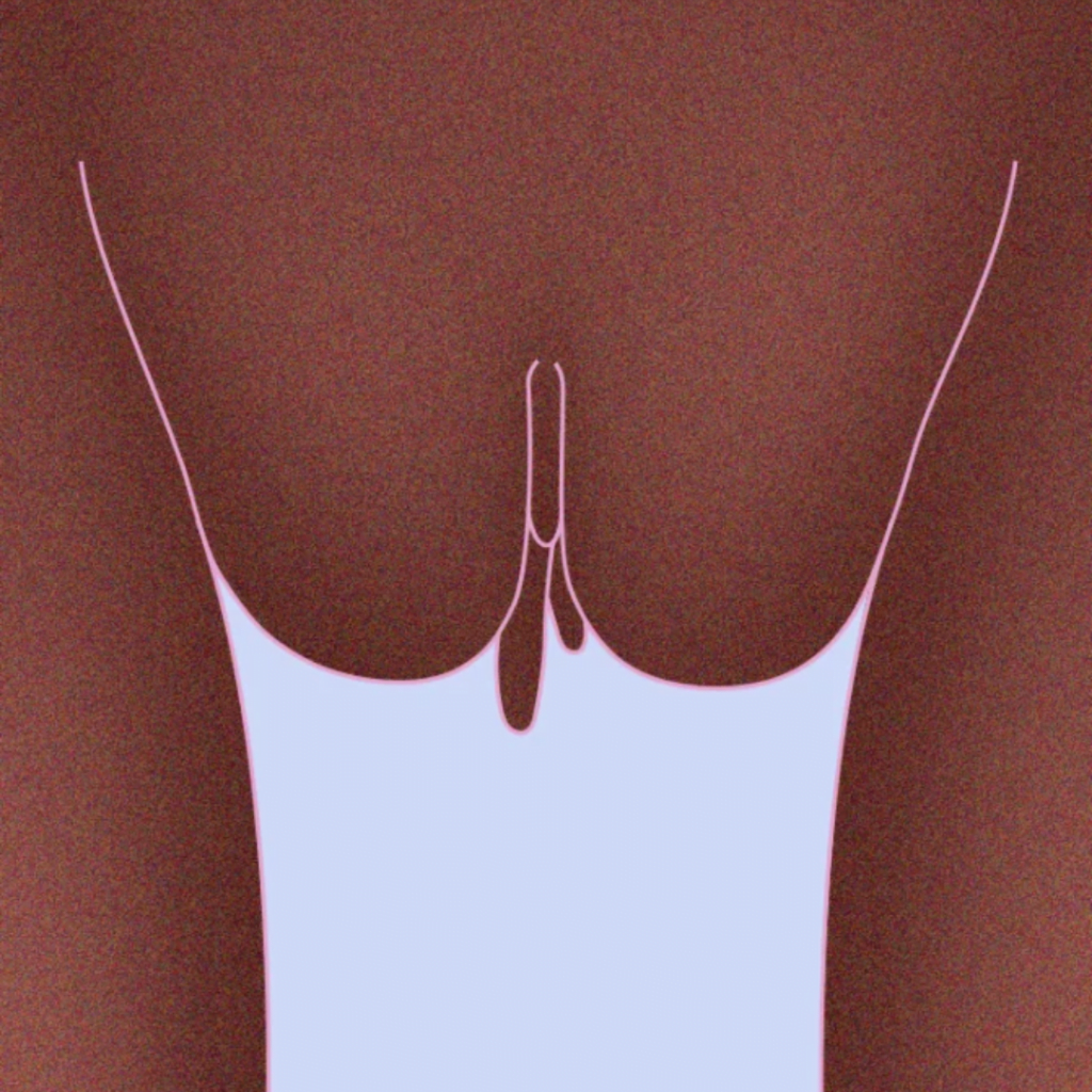 The Asymmetrical Vagina in the list of ten types of vagina