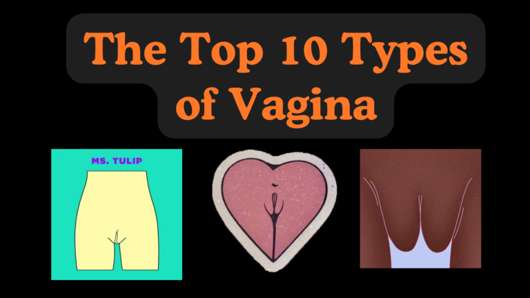 The top 10 types of vagina