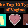 The top 10 types of vagina